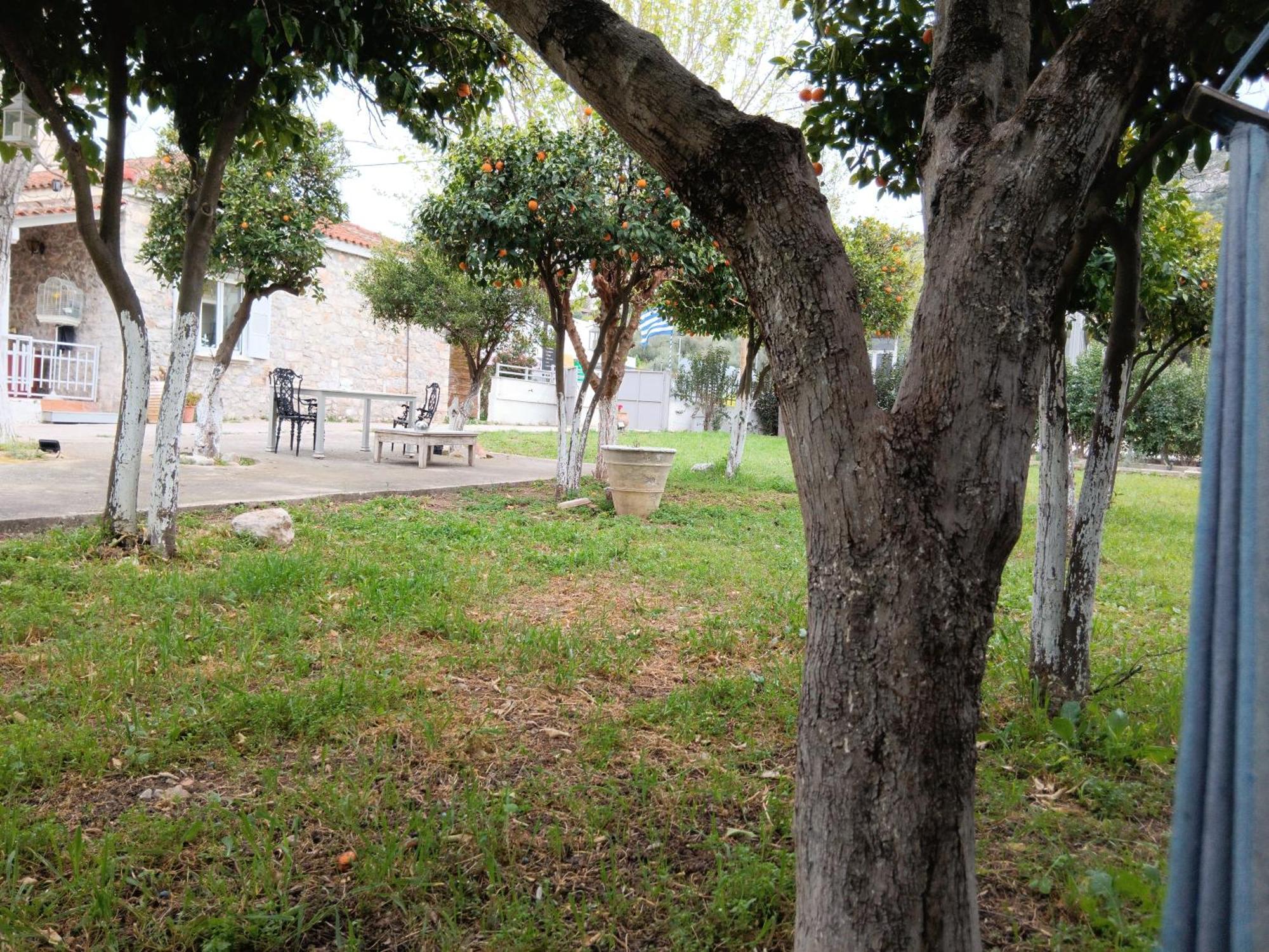 Άθοσ Villa Nafplion Exteriör bild